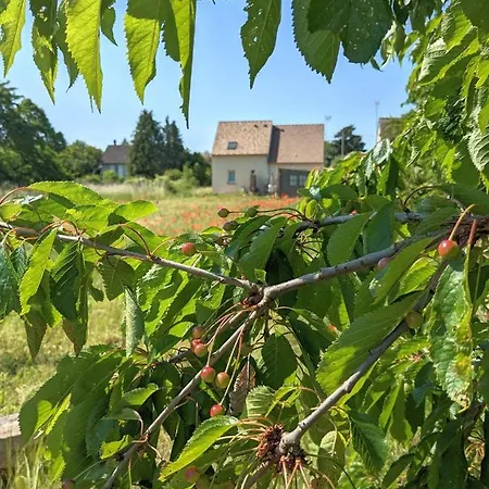 Le Rocky Large With Wooden Deck And Private Garden Next To Fontainebleau Forest *